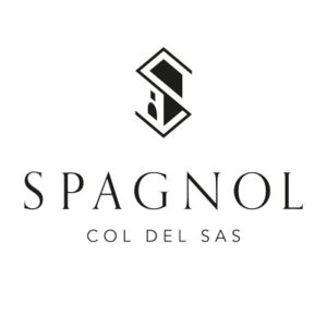 loghi-partner-spagnol